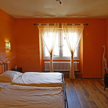 Champ Alsace 3* アグノー